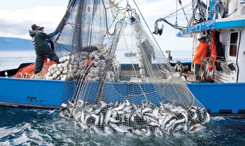 From sunlight to sustainability: how solar boats can help fishing