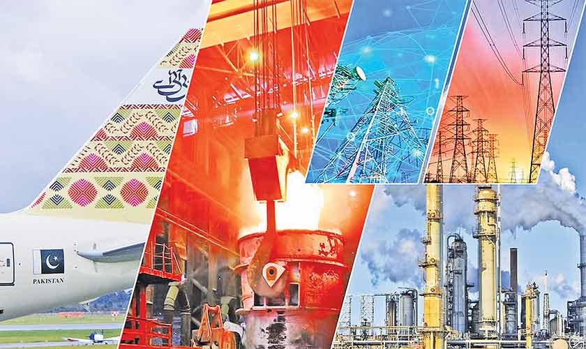 SOEs in developing economies: Lessons from Pakistan