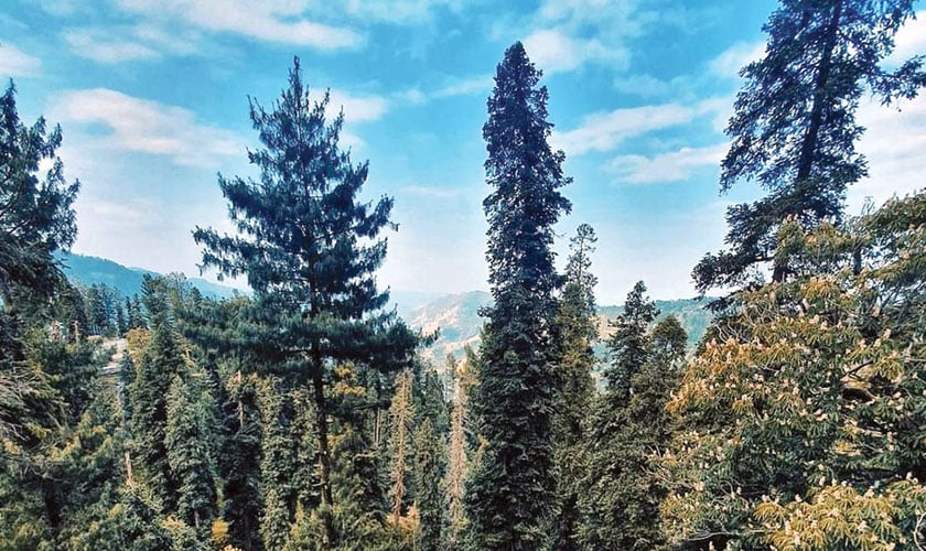 Nathia Gali