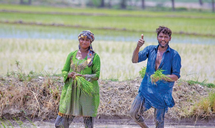 Women in fields - a promise of brighter yields