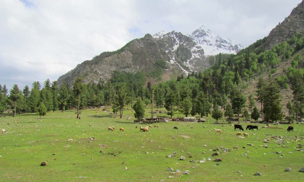 A lift to Naltar 