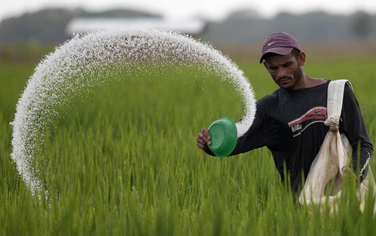 Rising cost of cropping