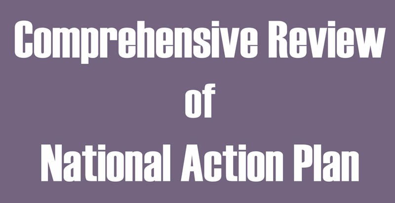 National Action Plan: A year on