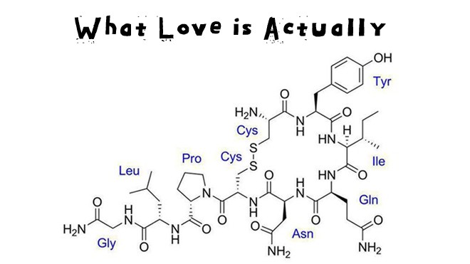 The impossible love debate