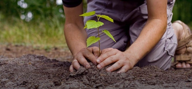 Planting solutions 