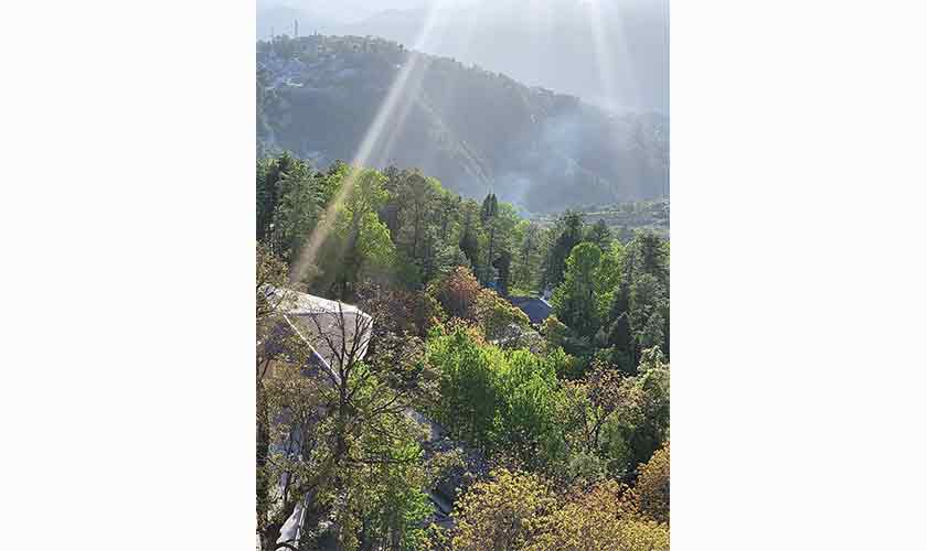 The irresistible  Murree