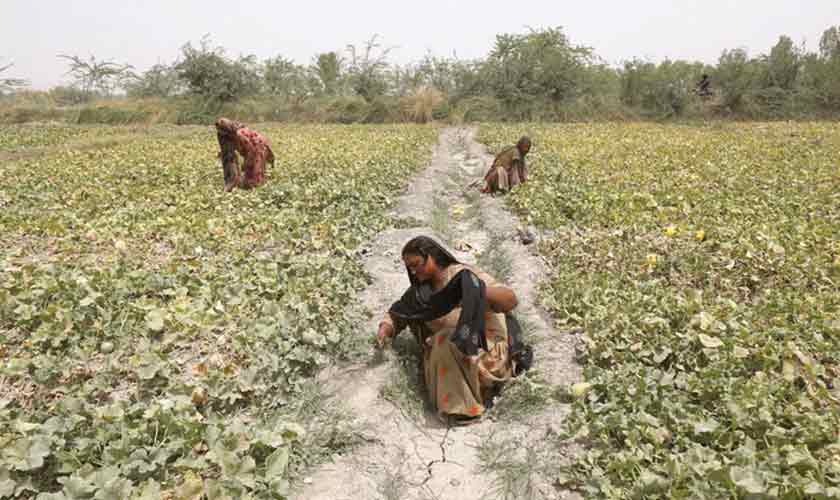 Securing the crops