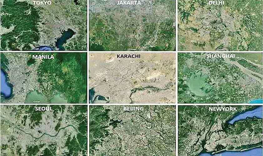 Comparative vegetation cover of cities around the world. Image: supplied