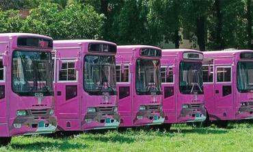 Pink Bus launched to facilitate female teachers, students