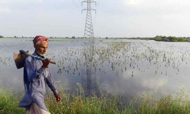 Adapting agriculture to climate change