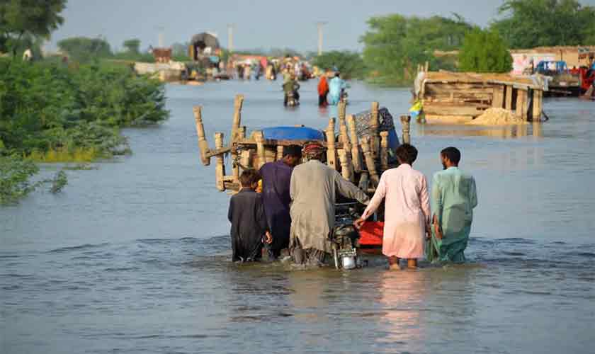 Rehabilitation after catastrophe