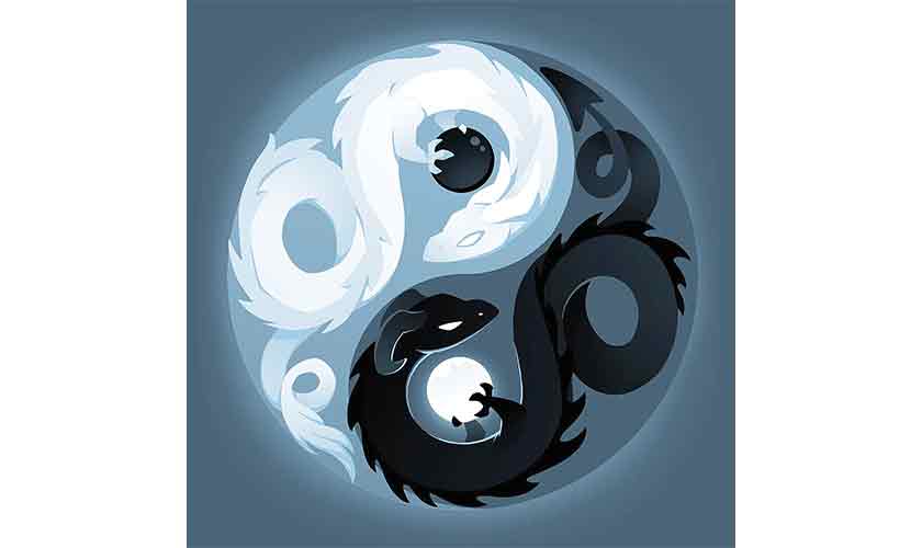 Our Yin and Yang