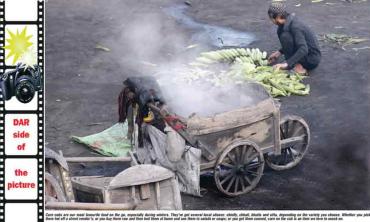 The corn man