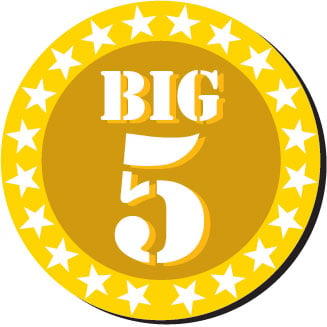 BIG-5