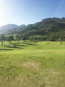 GOLF ON THE RISE... There are 47 golf courses in Pakistan including the picture-perfect Margalla Greens in Islamabad