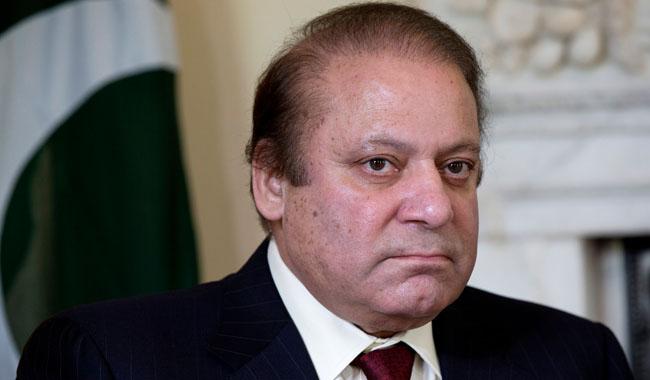 Panama Leaks: PM seeks immunity under Article 248