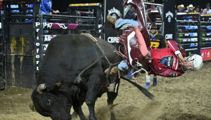 Death-defying Bull Riders Thrill Crowds In Popular Aussie Sport