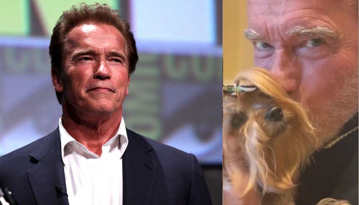 Arnold Schwarzenegger's impressive message to beat coronavirus