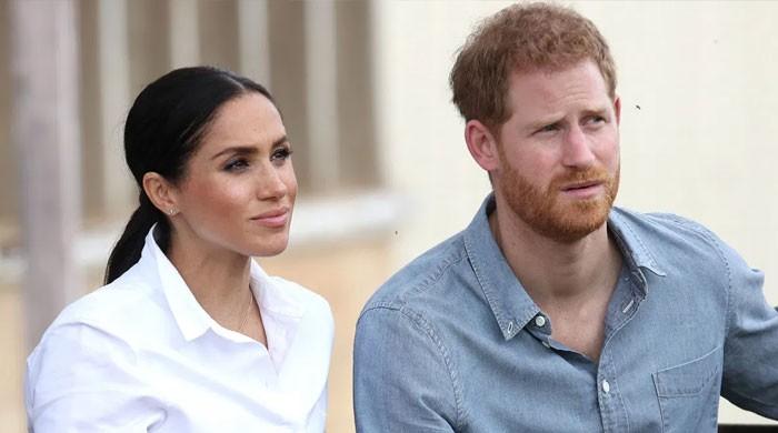 Prince Harry, Meghan to have a tough time with privacy in LA: expert