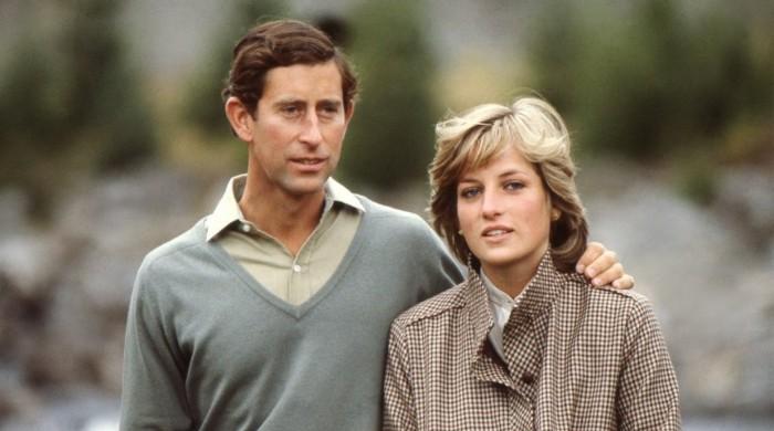 Princess Diana ‘often vented her rage’ on her staff and Prince Charles ...