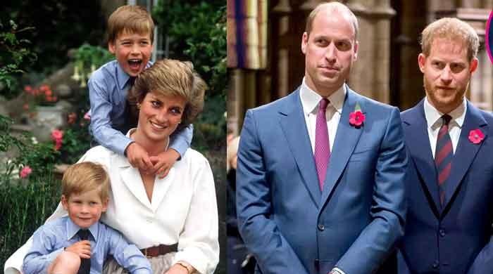 Prince William and Harry keep their mom Princess Diana alive in their ...