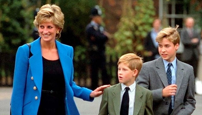 Experts weigh in on Princess Diana’s inheritance for Prince Harry