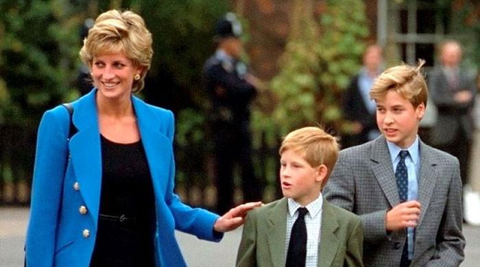 Experts weigh in on Princess Diana’s inheritance for Prince Harry