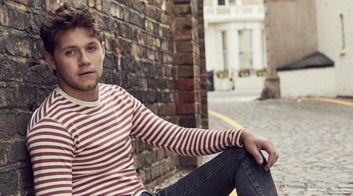 Niall Horan sheds light on feeling 'like a prisoner' in One Direction days: 'I struggled with it'