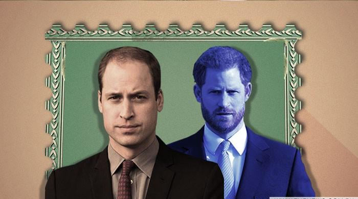 Prince Harry And Prince William Likely To Reunite This Summer Despite Rift