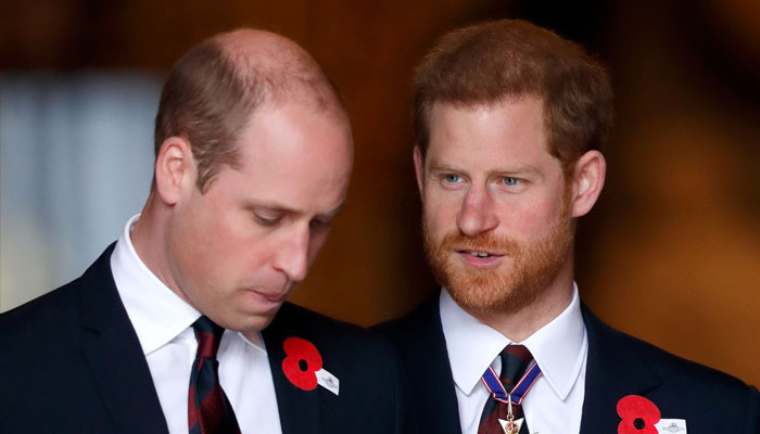 Prince Harry, William slammed for having Biblical 'Cain ...