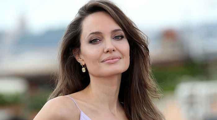 Angelina Jolie turns to courts amid Brad Pitt custody drama: report