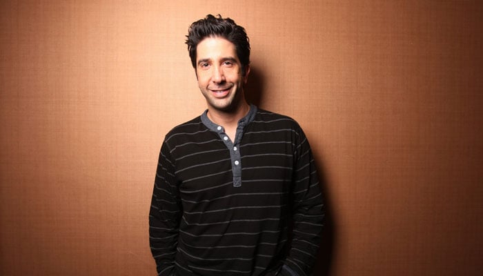 David Schwimmer also revealed that before he settled on acting, he dipped his toes in a number of careers