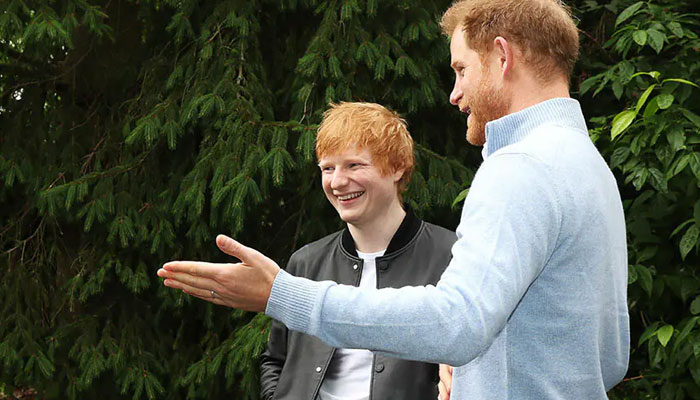 Prince Harry speaks out over fatherhood with Ed Sheeran