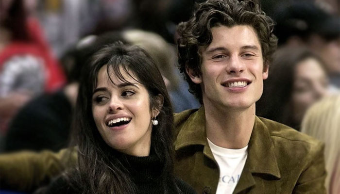 Shawn Mendes, Camila Cabello Shower Love On Each Other As Lovebirds 