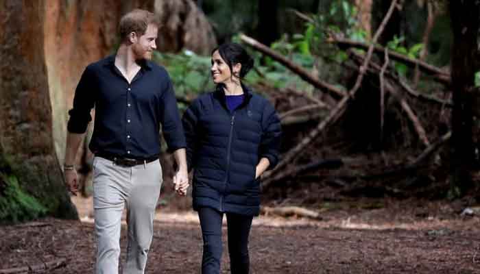 Expert says Meghan Markle and Harry trying to set up alternate woke royal family