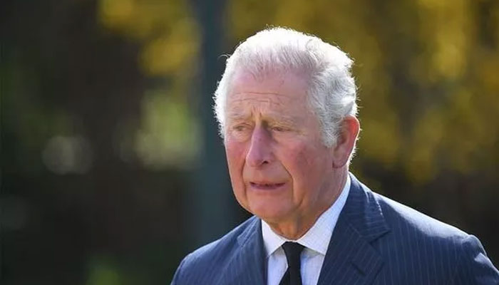 Prince Charles ‘hellish school life’ laid bare: ‘So much bullying’