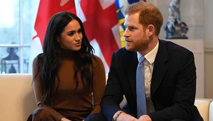 Coordinated harassment campaign targeted Meghan Markle, Harry: report