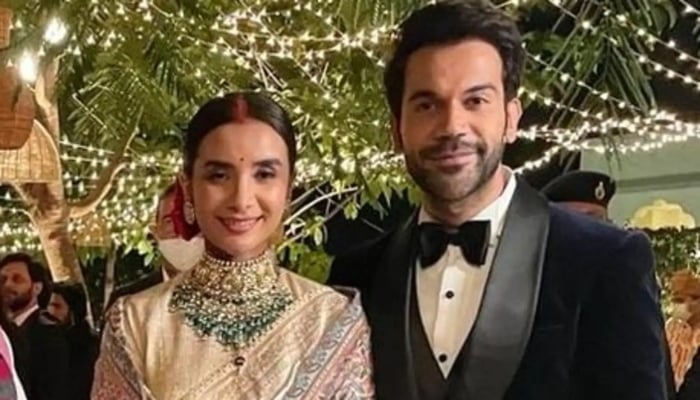 Rajkummar Rao & Patralekhaa make a gorgeous couple at their royal wedding reception