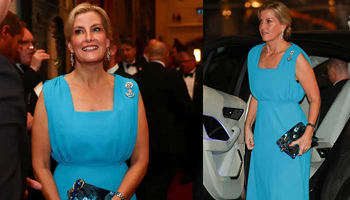 Queens favourite Sophie Wessex stuns fans at royal reception