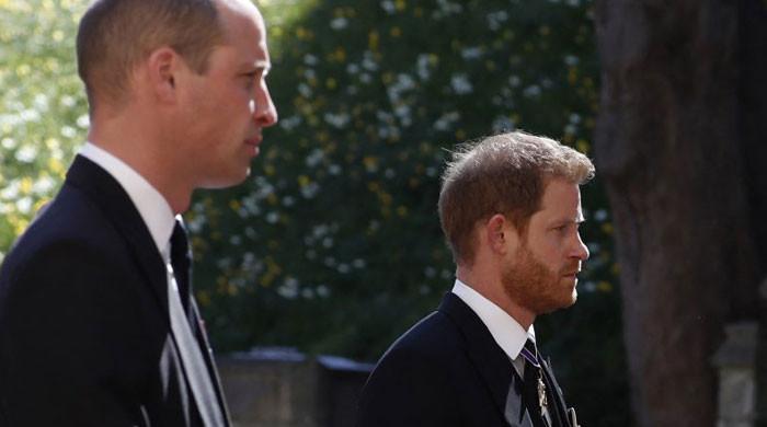 Prince William ‘shielded Prince Harry From The ‘unhappiness Of Diana S Life Report