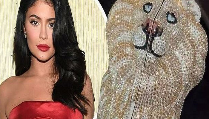 Kylie Jenner flaunts $6,000 dazzling clutch for Christmas