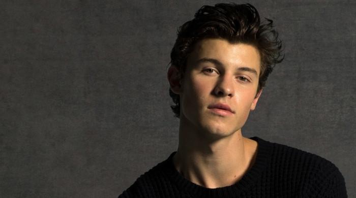 Shawn Mendes takes break from social media following Camila Cabello breakup