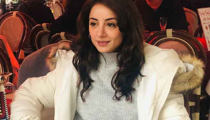 Sarwat Gilani gives a peek into her unconventional workplace: See Photo