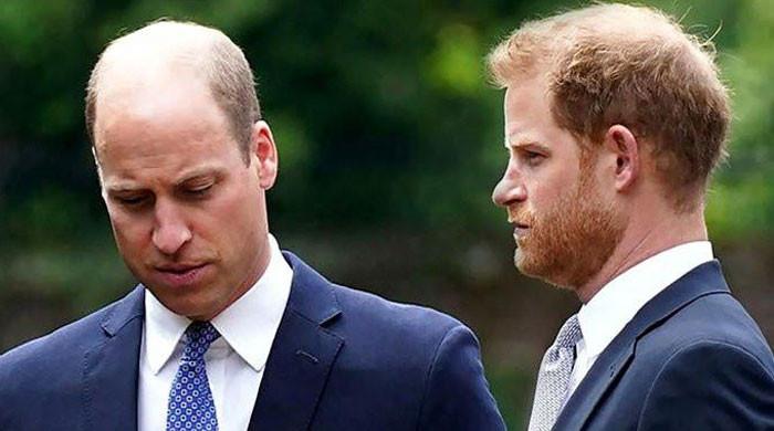 Prince William ‘shocked’ By Prince Harry’s Response To Security Threats ...