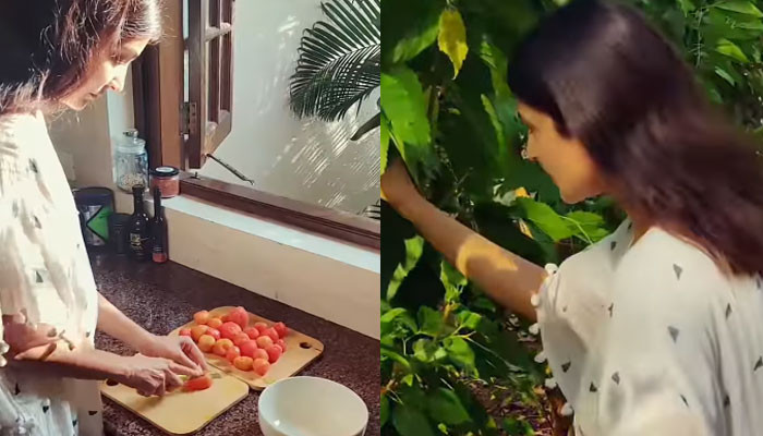 Anushka Sharma Drops Unseen Video Of Her Making Jam At A Farm Watch Your Choice News
