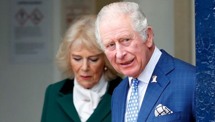 Camilla felt ‘paralysed’ at the thought that ‘no one would truly ...