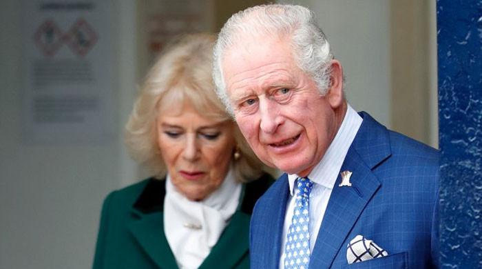 Camilla felt ‘paralysed’ at the thought that ‘no one would truly ...