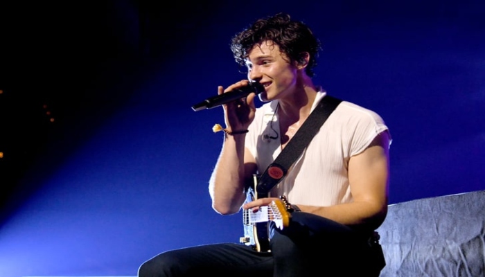 Shawn Mendes teases fans with a quirky post, hints at groovy upcoming song