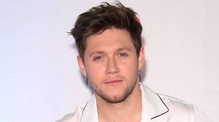 Niall Horan falls extremely ill during flight, cancels TV show appearance