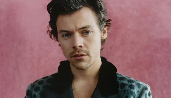 Harry Styles 'constantly on his guard' after star's infatuated stalker  broke into his London home